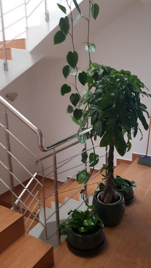 Dativo House 那沃达利 外观 照片