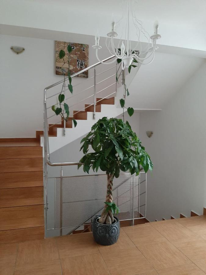Dativo House 那沃达利 外观 照片