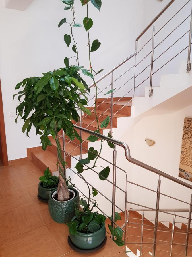 Dativo House 那沃达利 外观 照片
